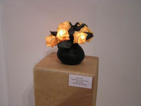 Terleczky Ádám: Kawasaki rózsák