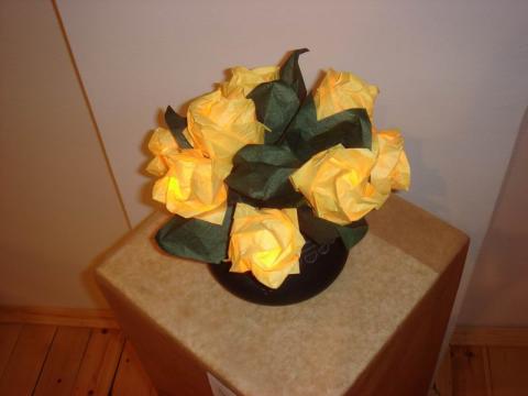 Terleczky Ádám: Kawasaki rózsák