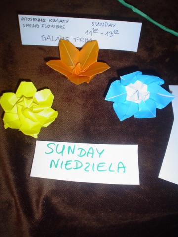 Frim Balázs virágai a modellmenüben